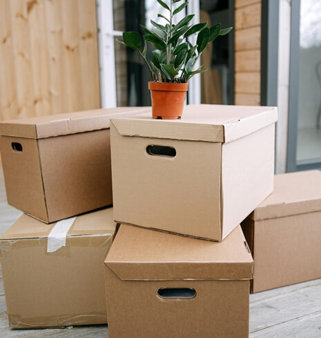 moving boxes